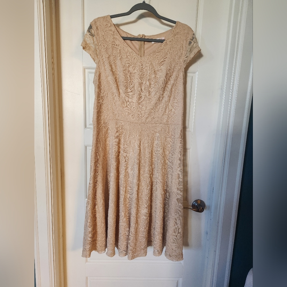 Bery Love Lace Fit and Flare Midi Dress